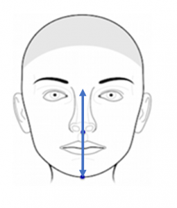 Combined Upper and Lower Facial Heights